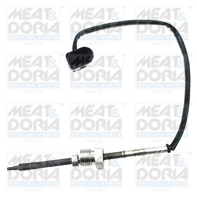 Sensor, exhaust gas temperature